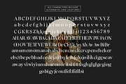 Blinkosta - Unique Ligature Serif, a Serif Font by Mytha Studio (Thumbnail 15 of 15)