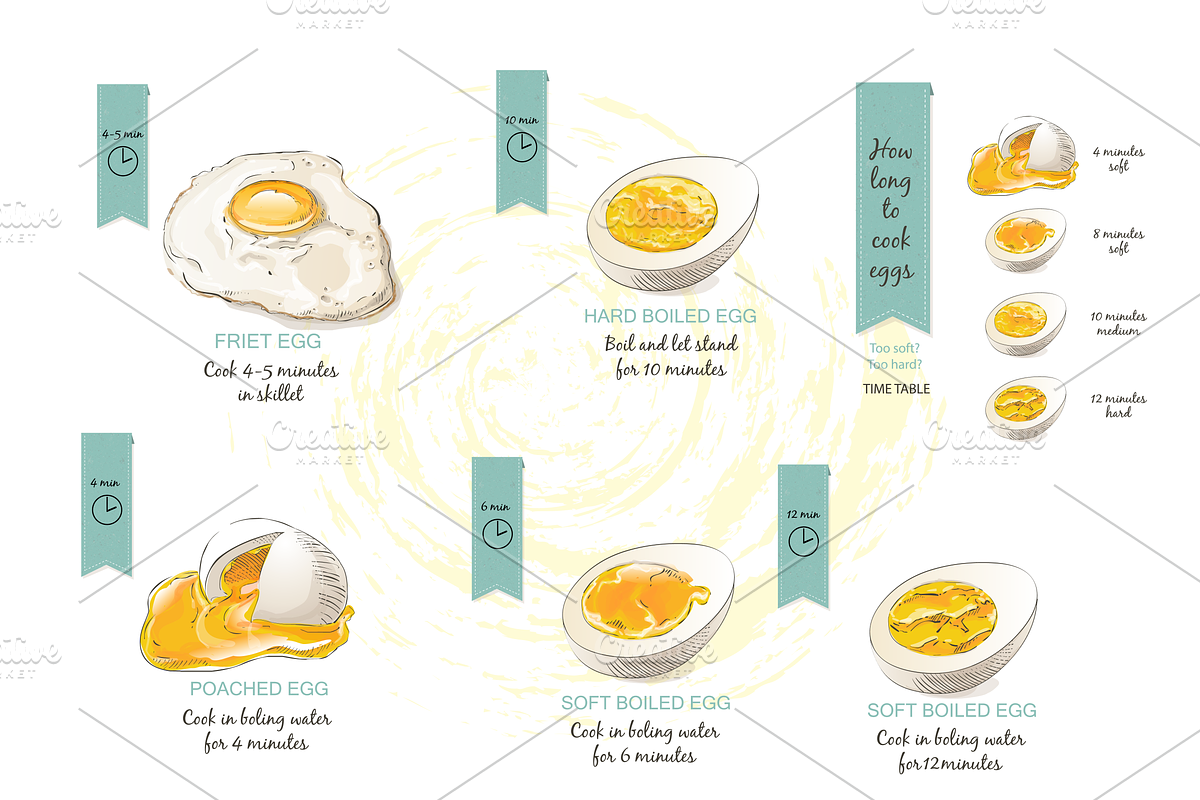 Eggs Hand drawn Vector set, an Illustration by Alltruecolours (Photo 5 of 5)