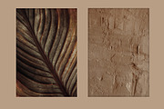 Lost in the sands, a Nature Photo by akovtun (Thumbnail 4 of 8)