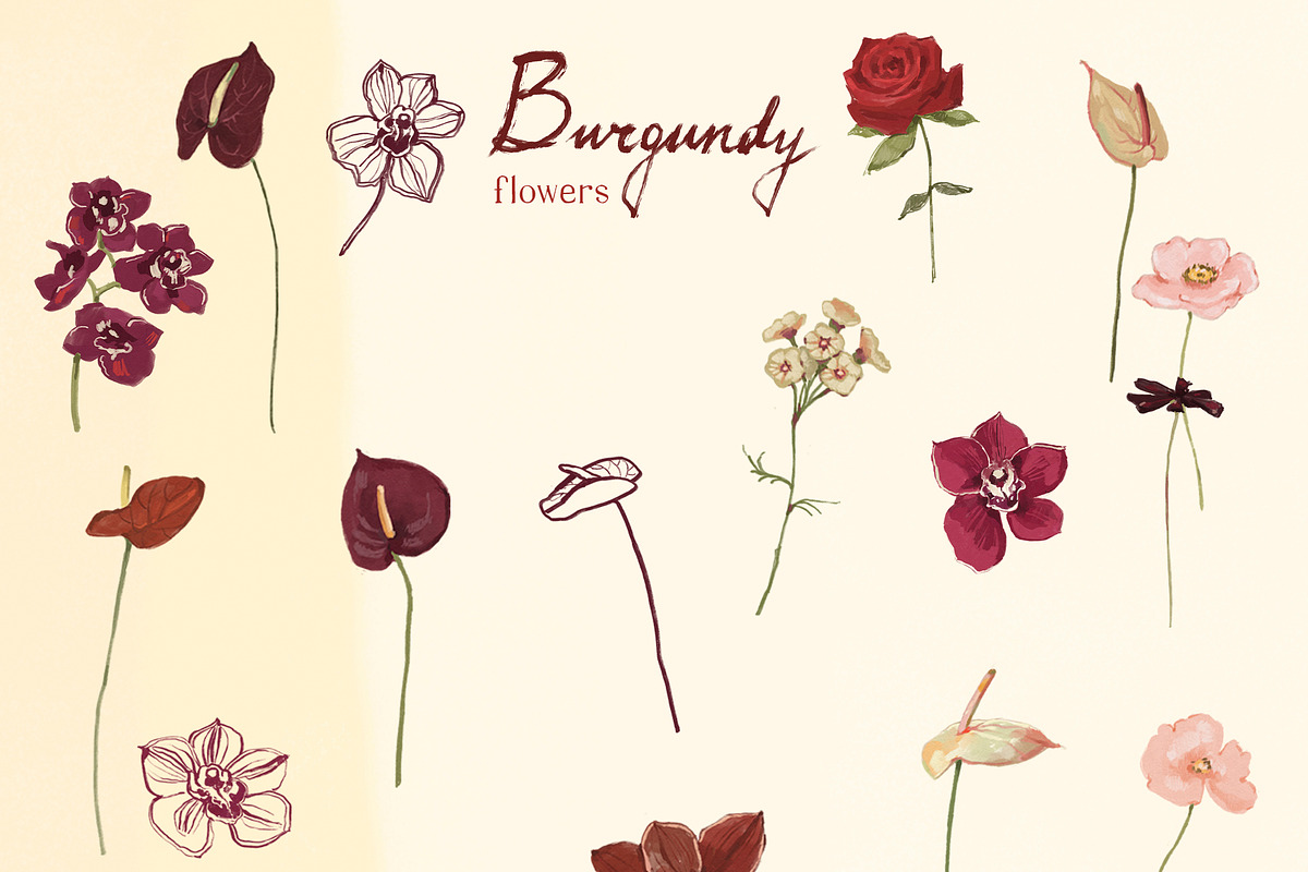 Burgundy Wedding Flower Illustration, a Decorative Illustration by whiteheartdesign (Photo 9 of 16)
