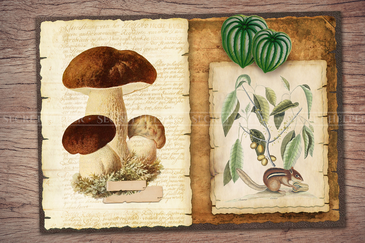 Forest Scrapbooking Kit, an Animal Illustration by Secret Helper (Photo 7 of 9)