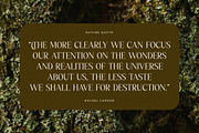 Kiprhany Modern Serif Font, a Serif Font by Letterena Studios (Thumbnail 3 of 15)