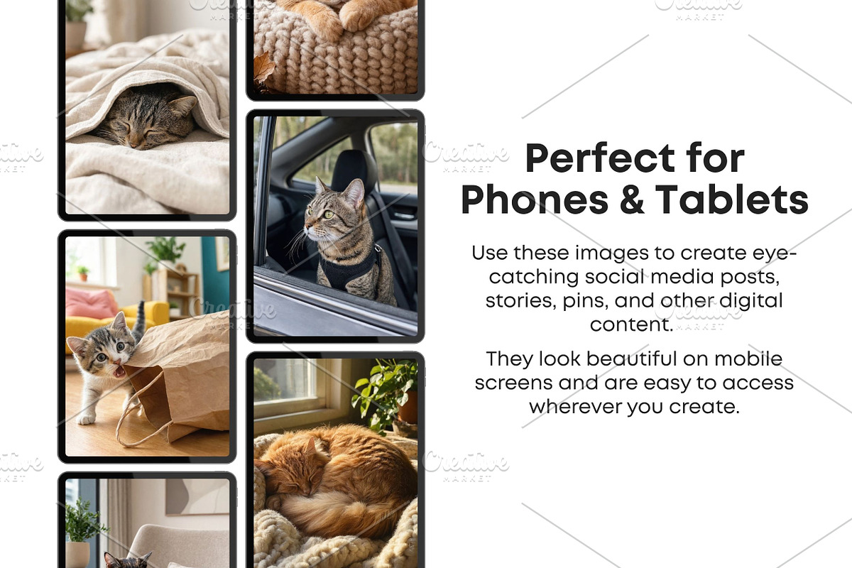 Cat Stock Photos Bundle, an Animal Photo by Selenique Studio (Photo 5 of 12)