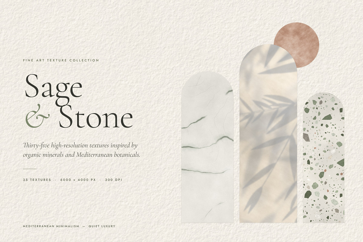 Sage & Stone Botanical Textures, a Texture Graphic by A Northern Type (Photo 1 of 9)
