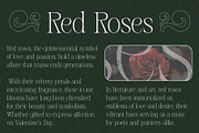 Risley Vintage, a Serif Font by Craft Supply Co. (Thumbnail 4 of 8)