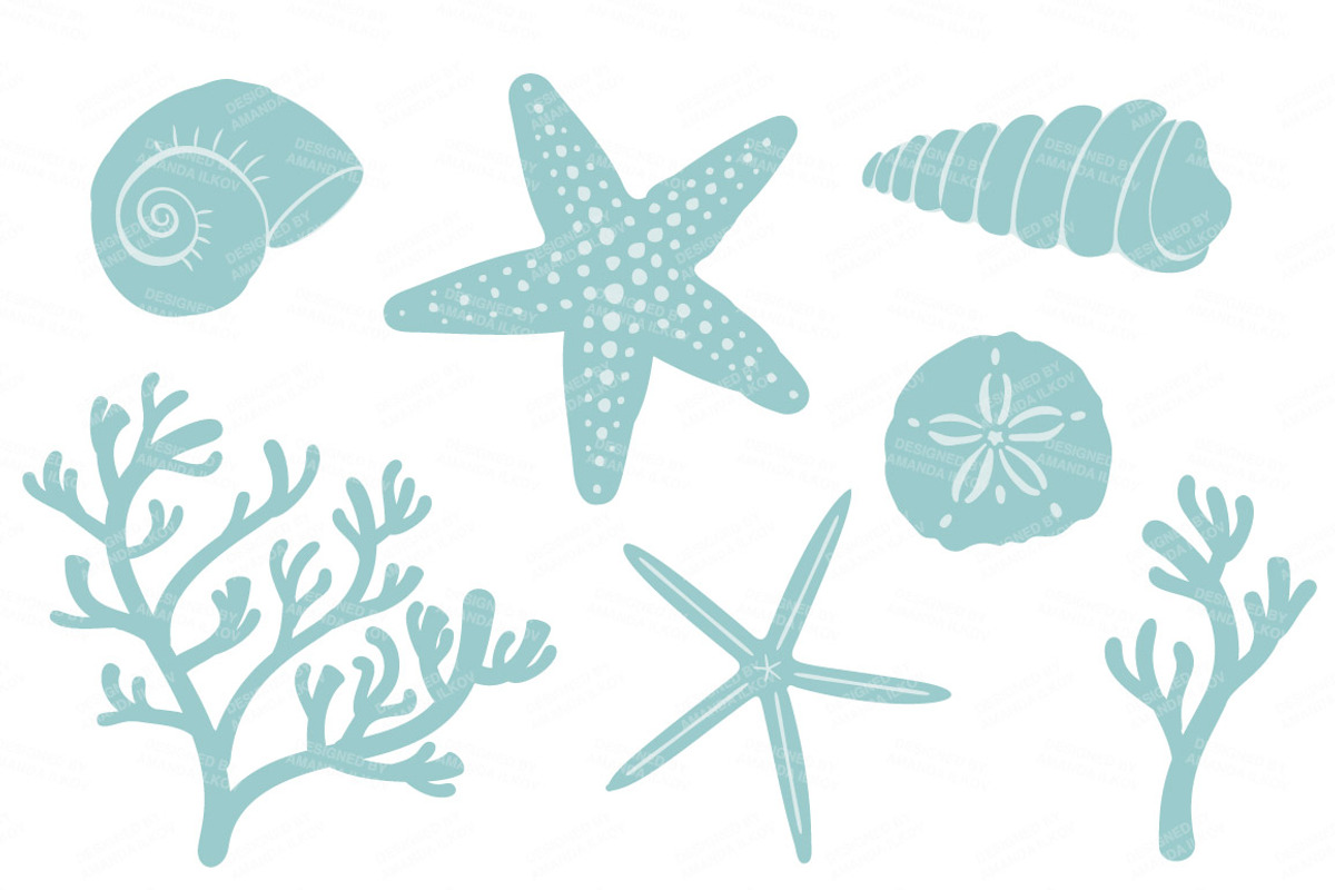 Seashells Clipart in Red & Robin Egg, an Illustration by Amanda Ilkov (Photo 4 of 5)
