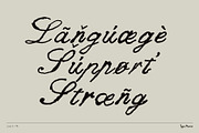 Leech TM – Romantic Script, a Script Font by Type Mania (Thumbnail 8 of 10)