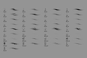 Hair Brush Set, a Brush Add-On by Zsolt Kosa Art (Thumbnail 6 of 7)