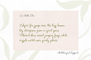 La Belle Chia Handwritten Script, a Handwritten Font by Perplexitics (Thumbnail 9 of 10)