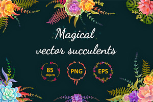 Magical Succulents