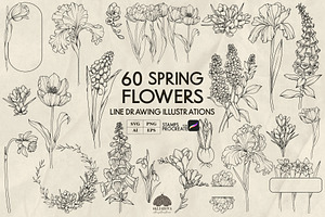 Spring flowers line art + Procreate, a Decorative Illustration by Skliarova