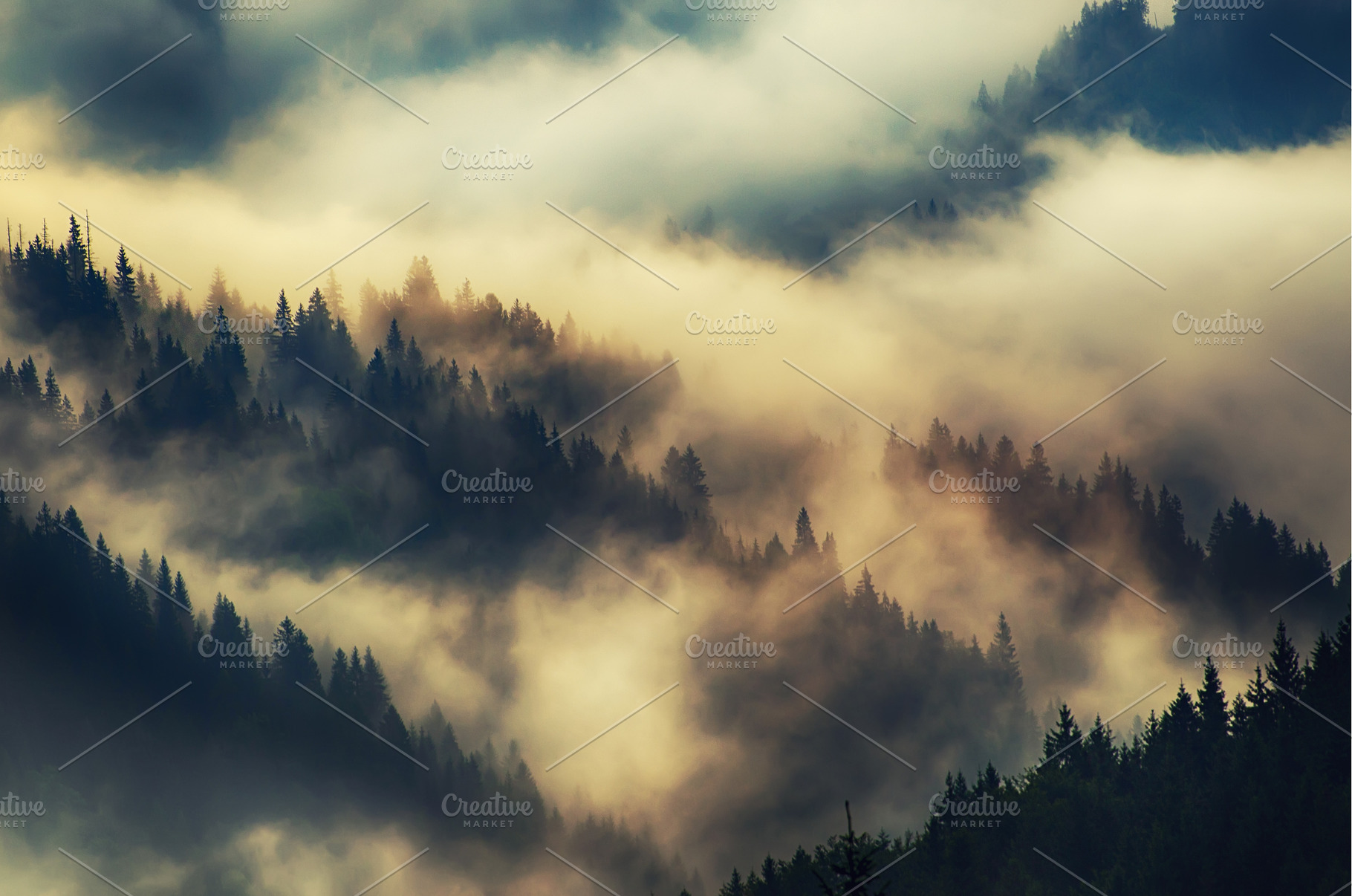 Misty mountain landscape, a Nature Photo by Nature and travel