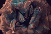 Elegant Floral Photoshop Brushes, a Brush Add-On by Milka (Thumbnail 4 of 10)