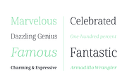 Cabrito Serif, a Serif Font by insigne (Thumbnail 3 of 5)