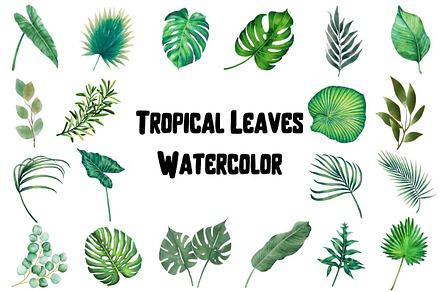 Watercolor Tropical Leaves Clipart, an Object Illustration by Awieee1