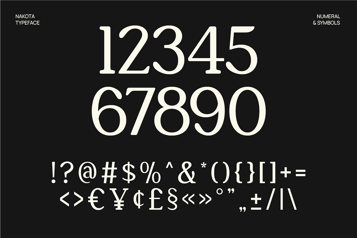 Nakota - Modern Clean Serif Font, a Serif Font by Pekotype (Photo 4 of 15)