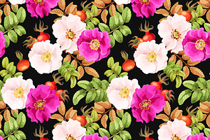 Dog-Rose Patterns