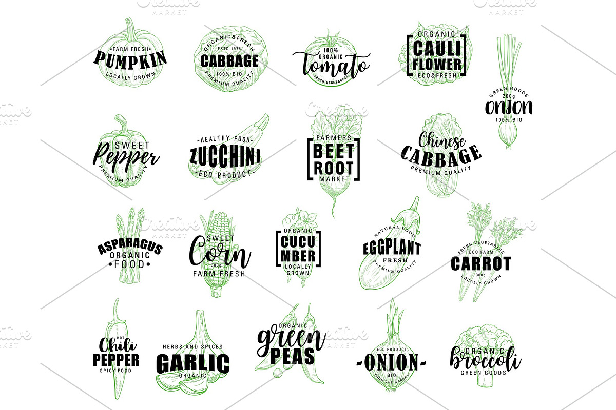 Vegetable hand drawn lettering icons, a Food Illustration by Vector ...