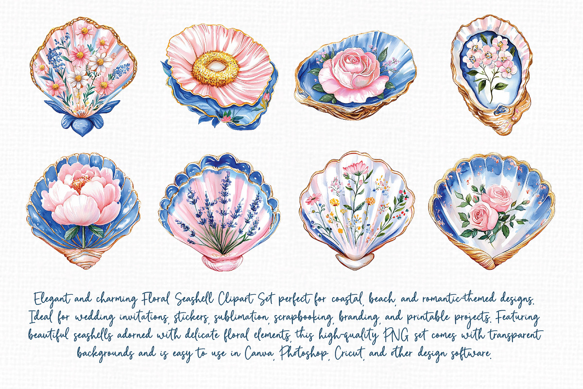 Floral Seashell Clipart set, an Illustration by Libby Wishes (Photo 6 of 7)