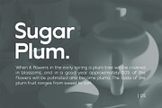 Creambelly, a Sans Serif Font by OWL KING (Thumbnail 9 of 12)