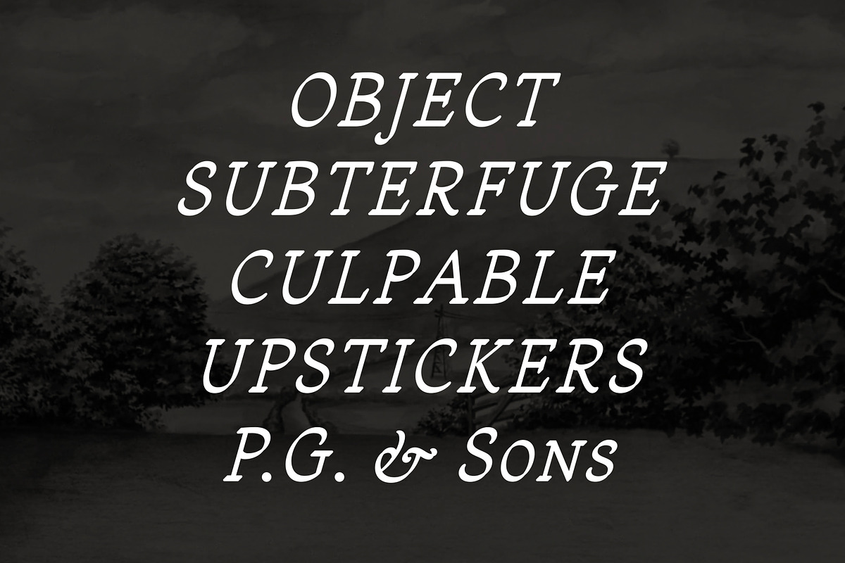 Sandleford Italic, a Serif Font by Simon Walker (Photo 5 of 9)