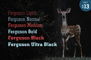 Ferguson Slab Font Family, a Slab Serif Font by Arterfak Project (Thumbnail 5 of 10)