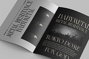 Risean Modern Serif Font, a Serif Font by Luna Shop (Thumbnail 5 of 8)