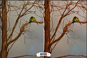 Hasselblad Adjustments Profiles, a Plug-in Add-On by Raztrend (Thumbnail 5 of 30)