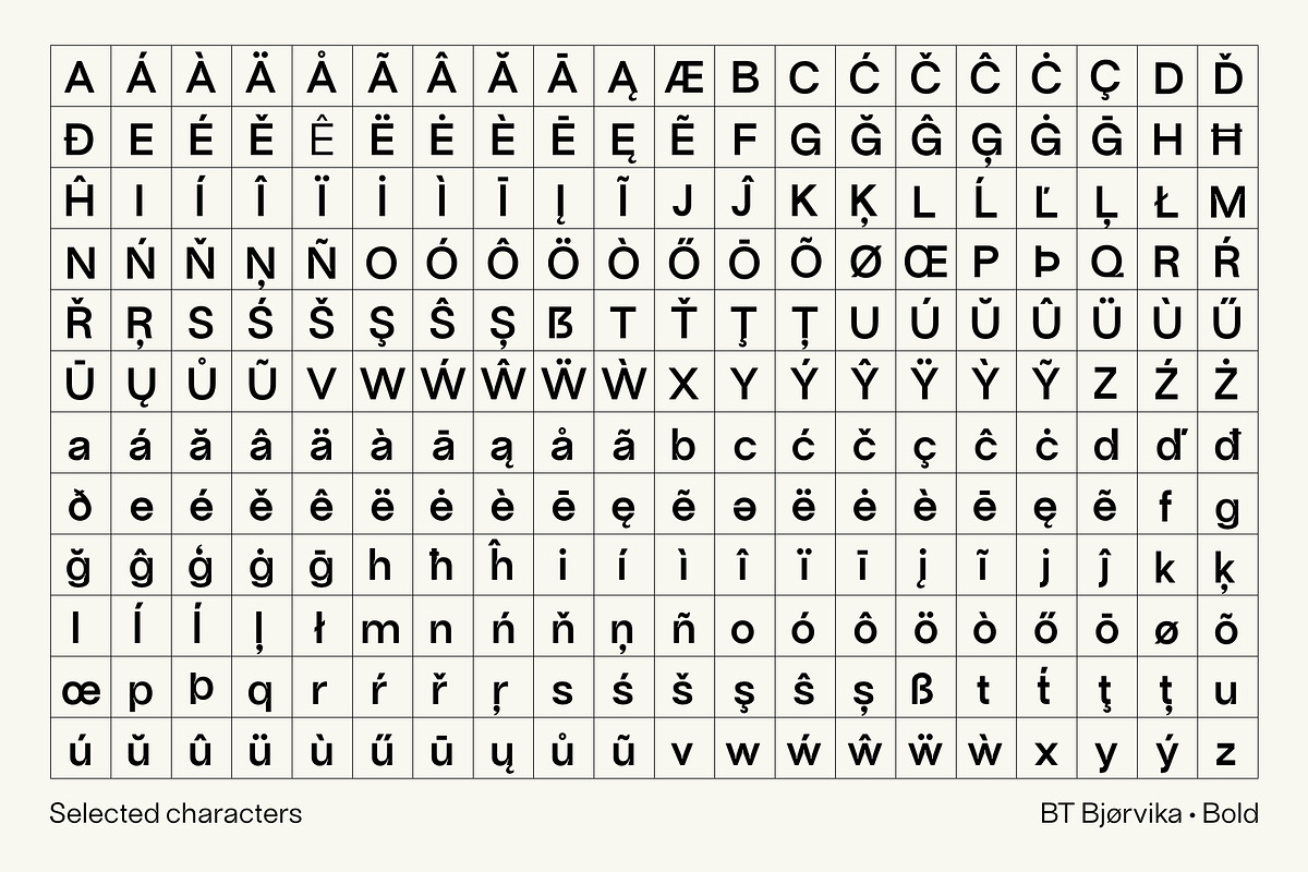 BT Bjørvika, a Sans Serif Font by BadType (Photo 5 of 10)