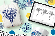 Hand drawn alstroemeria vector set, a Work Illustration by ekzi.letters (Thumbnail 2 of 5)