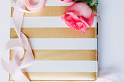 Pack 13 i styled stock containing minimalist, succulents, and candy, a Business Photo by SophieStockBoutique (Thumbnail 2 of 4)