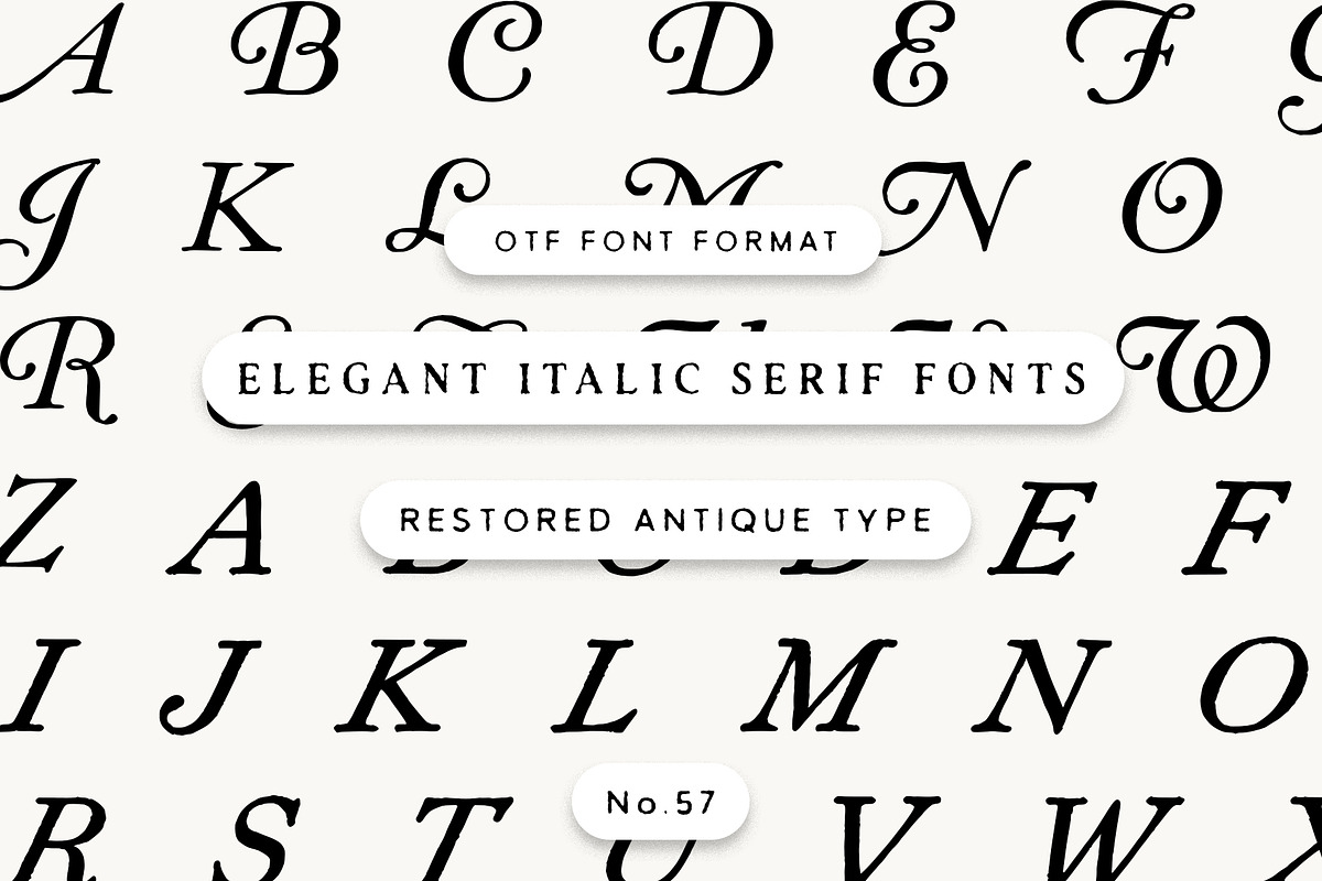 Vintage Italic Serif Font, a Serif Font by Century Library (Photo 1 of 3)