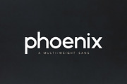 Phoenix | A Multi-Weight Sans, a Sans Serif Font by Jen Wagner Co (Thumbnail 1 of 13)