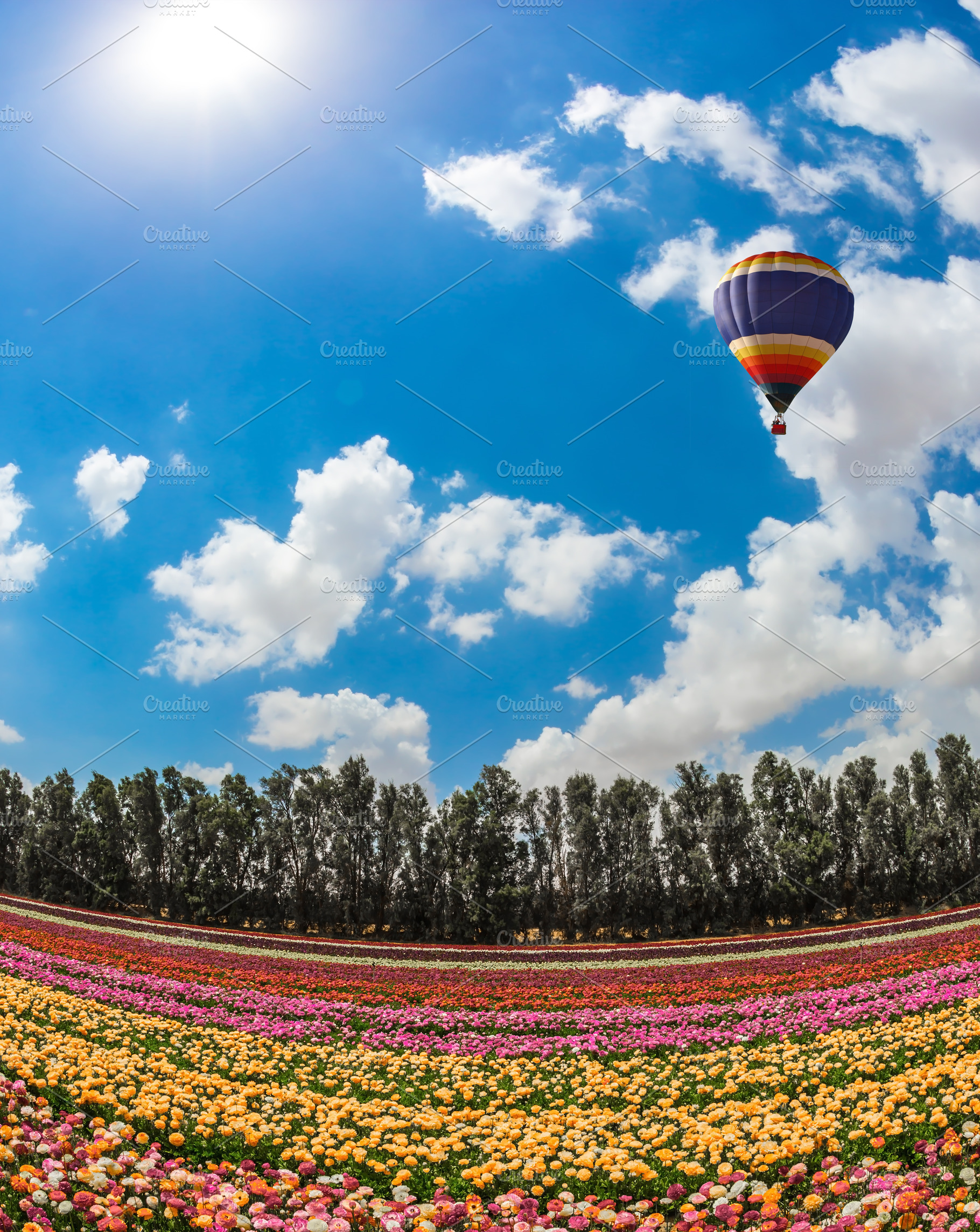 Large bright balloon, a Nature Photo by kavram