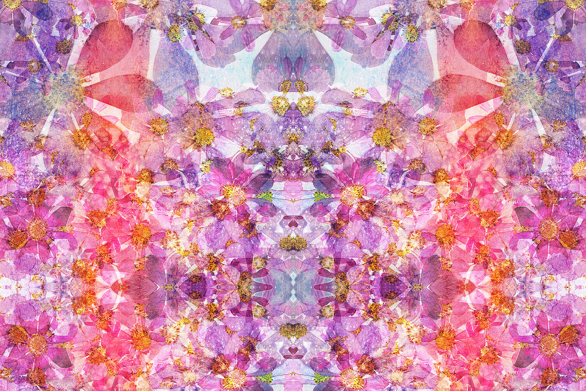 6 Pressed Flower Patterns, a Pattern Graphic by Tara Leigh Designs ...