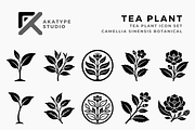 Tea Plant Icon Collection, a Solid Icon by Akatype Studio (Thumbnail 1 of 3)