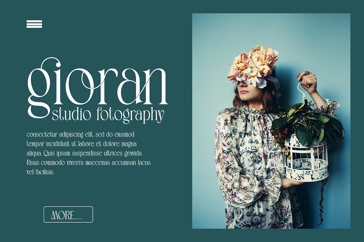 Walitte Modern Elegant Serif, a Serif Font by Alfinart (Photo 3 of 10)