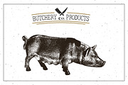 Butcher Shop Pork Logo Template, an Animal Illustration by Lemon Workshop (Thumbnail 3 of 3)