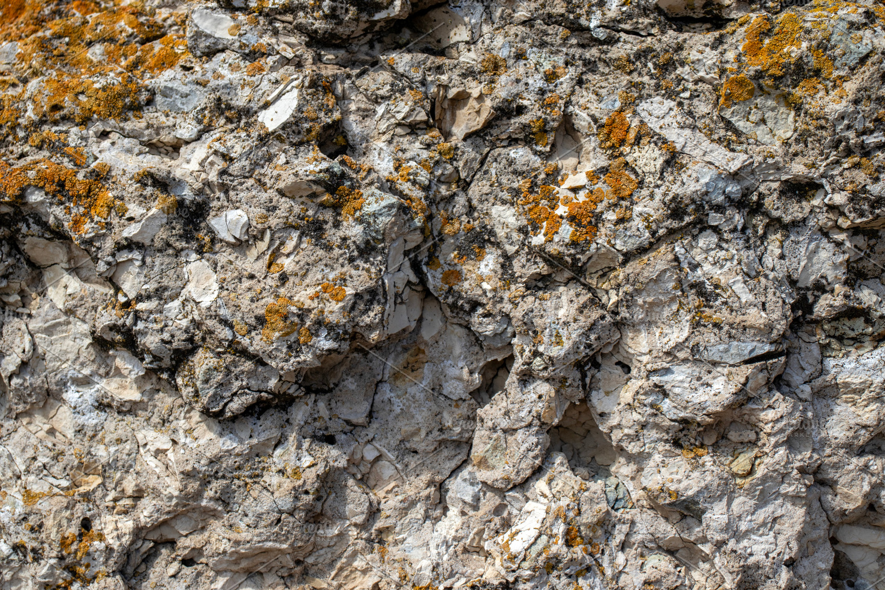 Moss on destroyed concrete, close-up, an Abstract Photo by Schreibikus