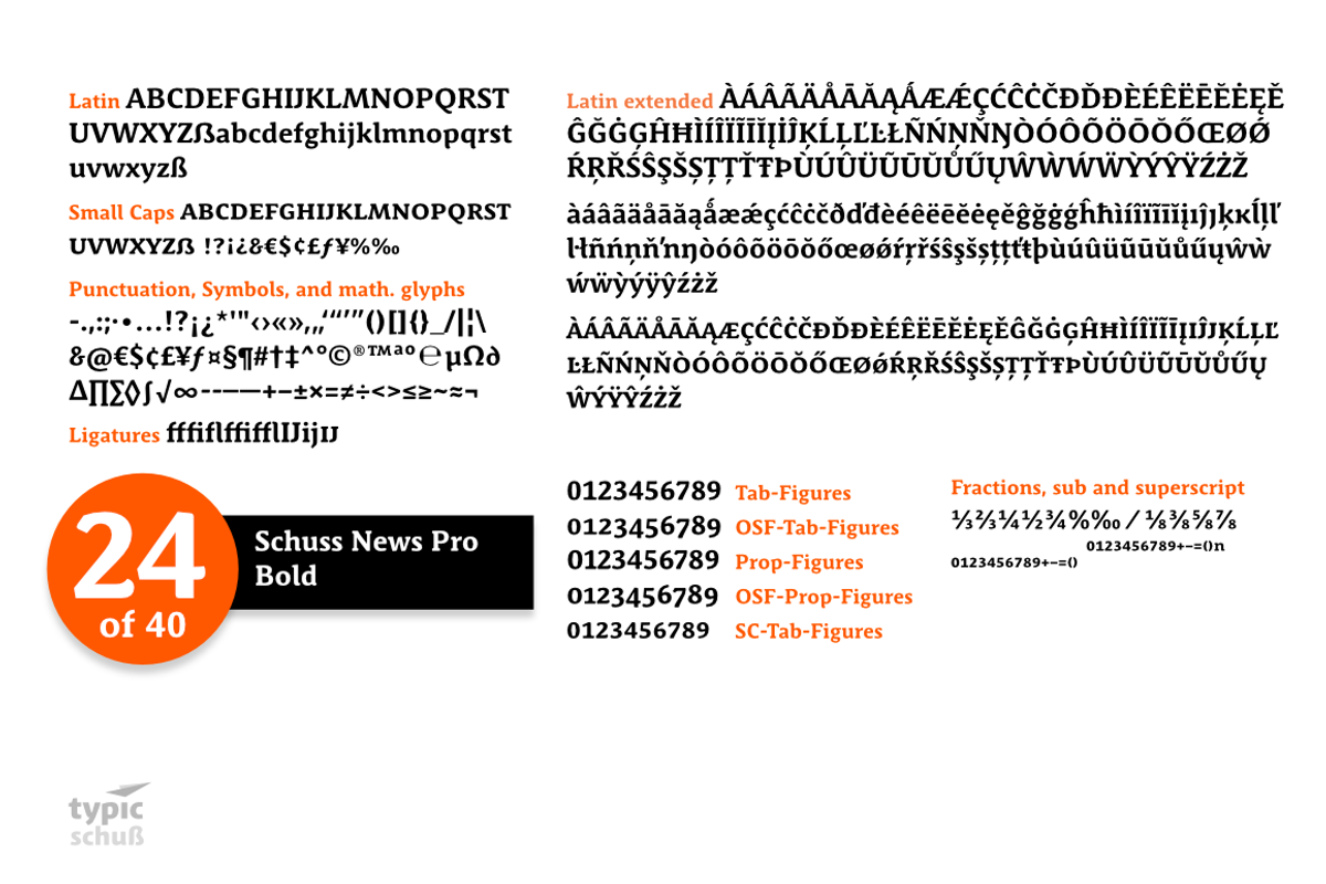 SchussNewsProBold No.24 (1 Font) preview 3