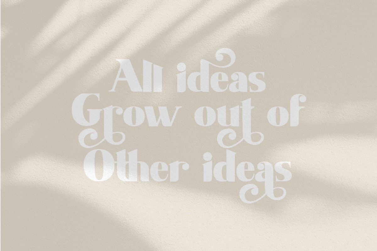 Shaqilla - modern serif, a Serif Font by ribethstudio (Photo 7 of 15)