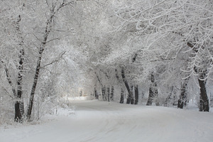 Amazing winter landscape with snow