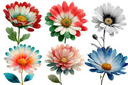 Christmas Daisy Flowers Clipart, an Illustration by Designworld (Thumbnail 4 of 5)