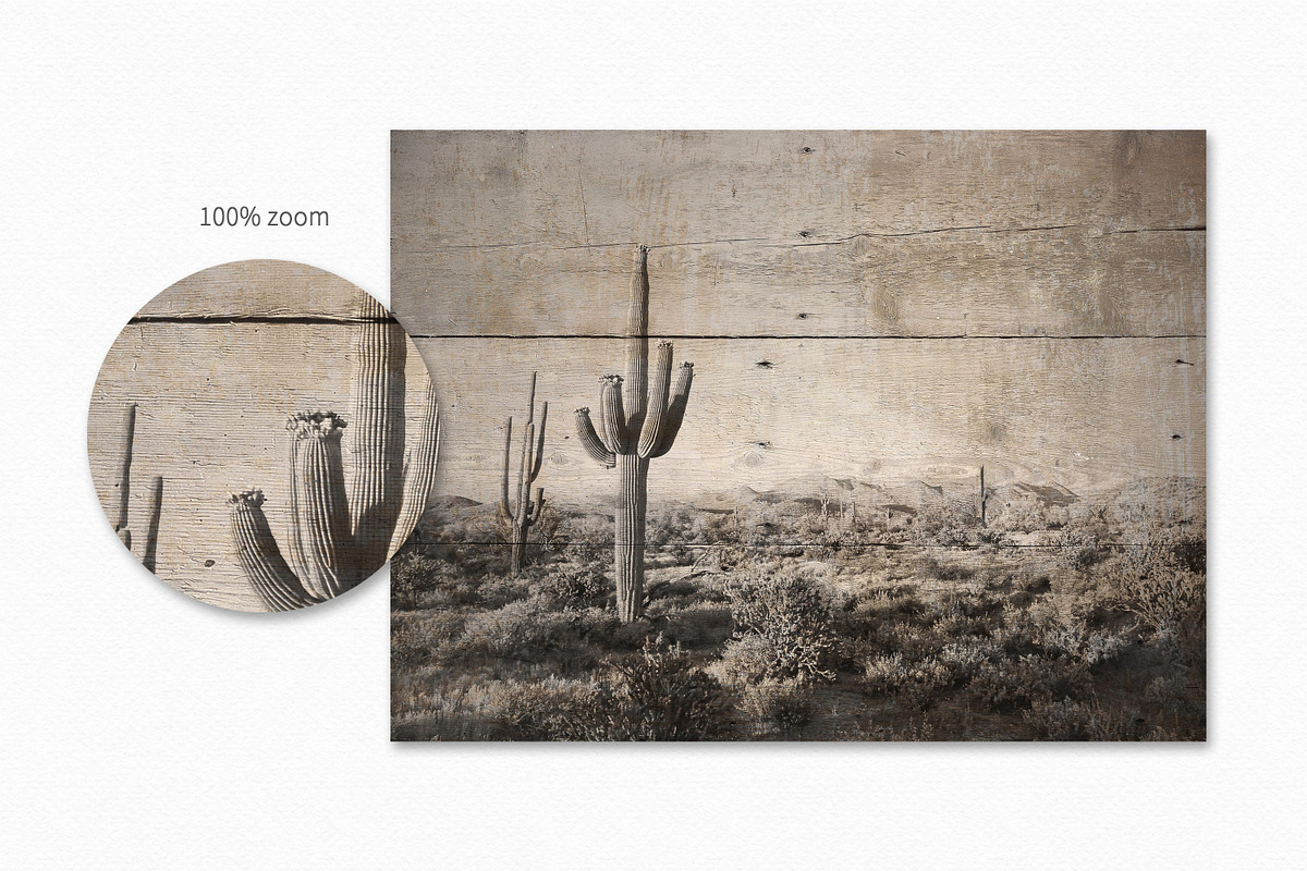 Textures of Texas, a Texture Graphic by rileyBgraphics (Photo 8 of 8)