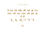 Ralika Ligature Serif Typeface, a Serif Font by yaqublekker (Thumbnail 10 of 10)