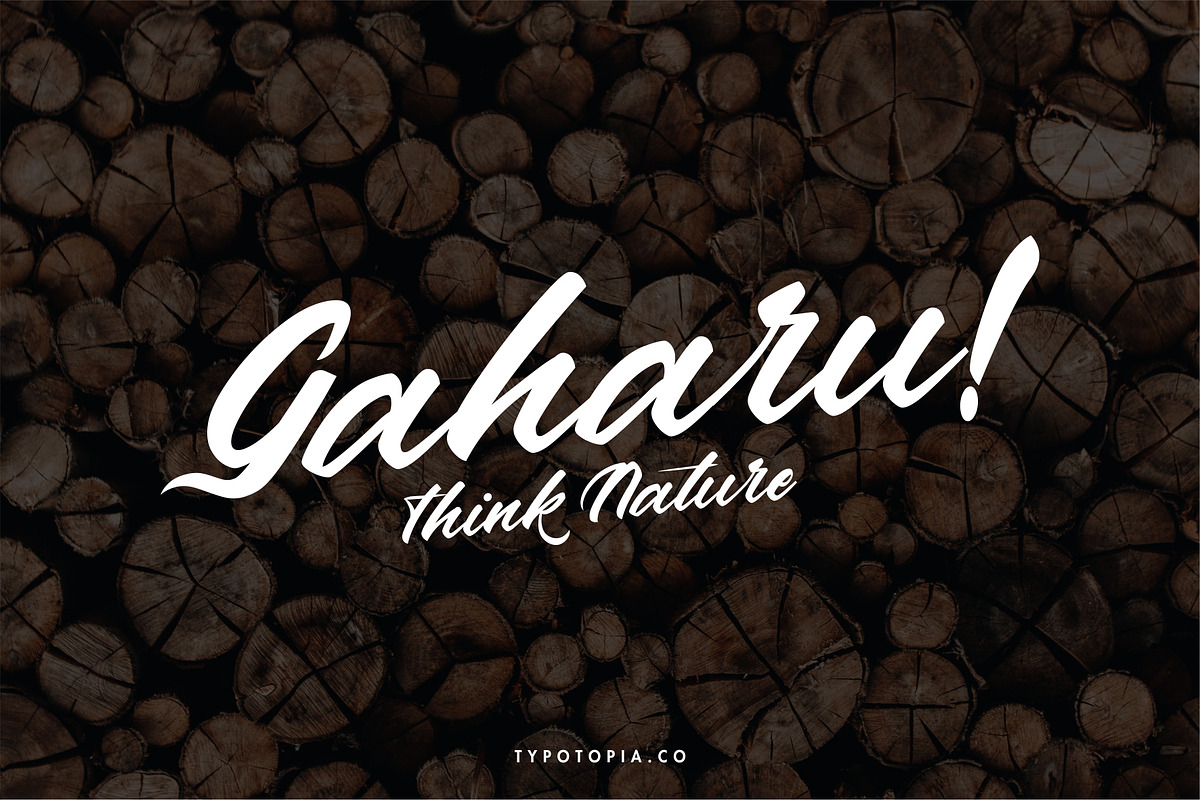 Andalas, a Script Font by edukka (Photo 4 of 9)