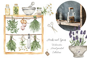 Watercolor Herbs and Spices, a Food Illustration by MayaNavits (Thumbnail 2 of 13)