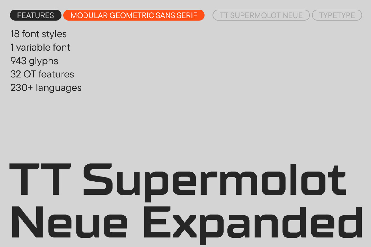 TT Supermolot Neue Expanded, a Sans Serif Font by TypeType (Photo 1 of 6)