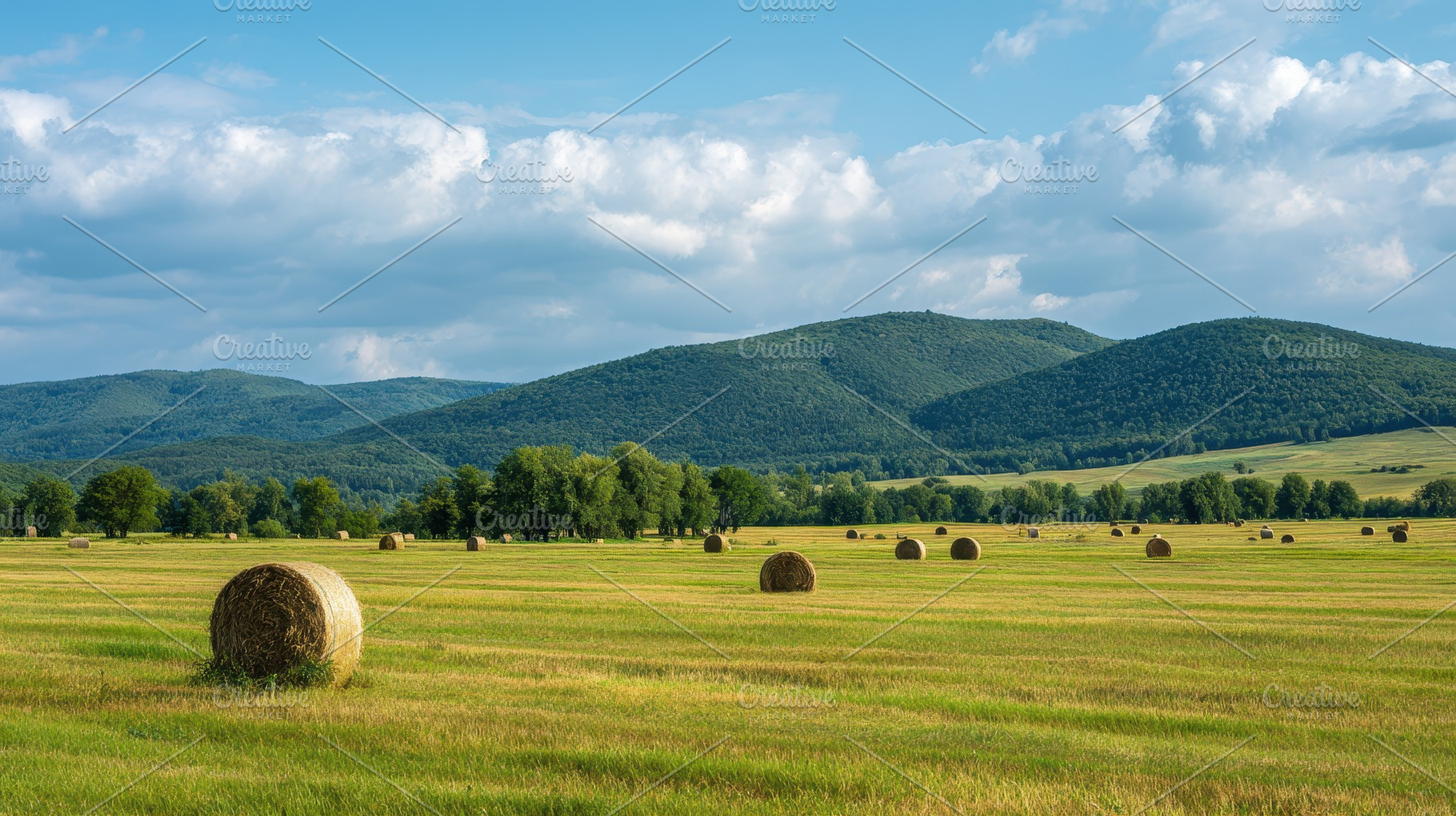 Hay bales dot golden fields, a Photo by Pavel_design