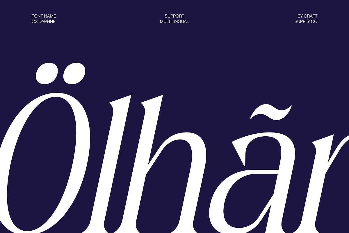 CS Daphne – Contemporary Font, a Serif Font by Craft Supply Co. (Photo 7 of 8)